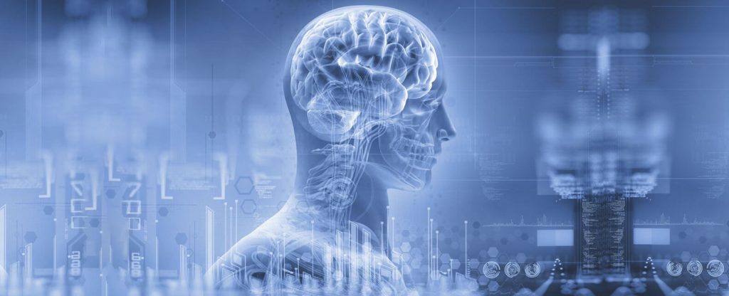 bioenergética